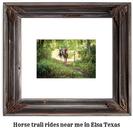 horse trail rides near me in Elsa, Texas